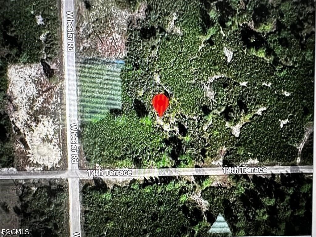 Picture 2