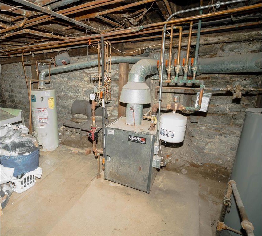 Picture 14