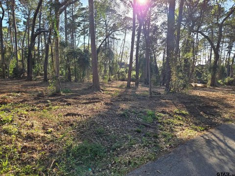 Cleared Lake Community Home Lot
