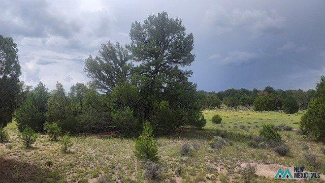 Picture 3