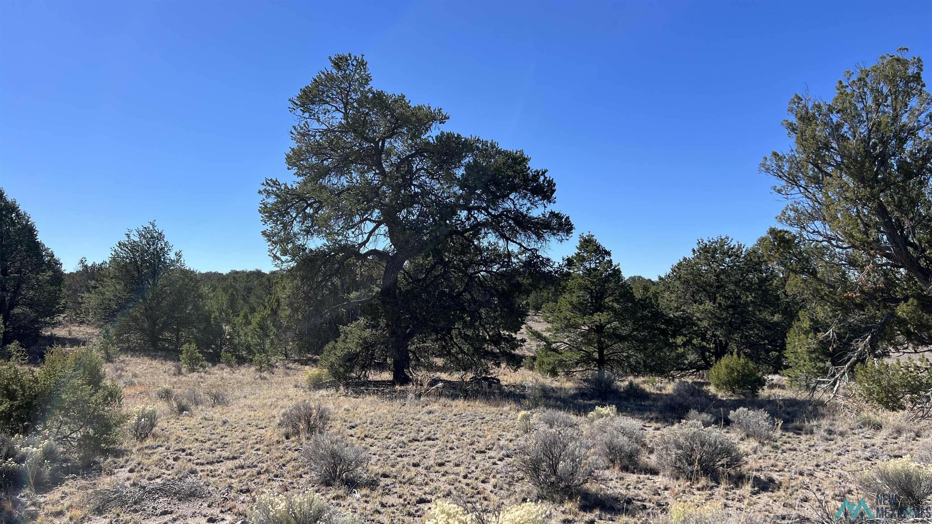 Rural Lot Near Pie Town