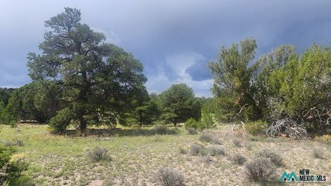 Land, Pie Town, NM