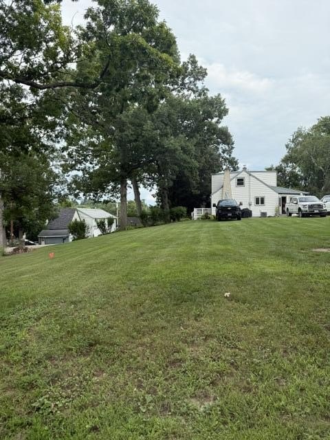 Picture 4