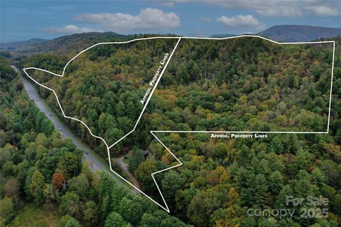Unrestricted Acreage in Pisgah Forest