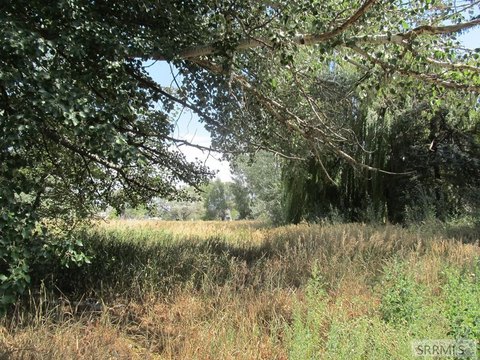 Land in Lewisville, Idaho