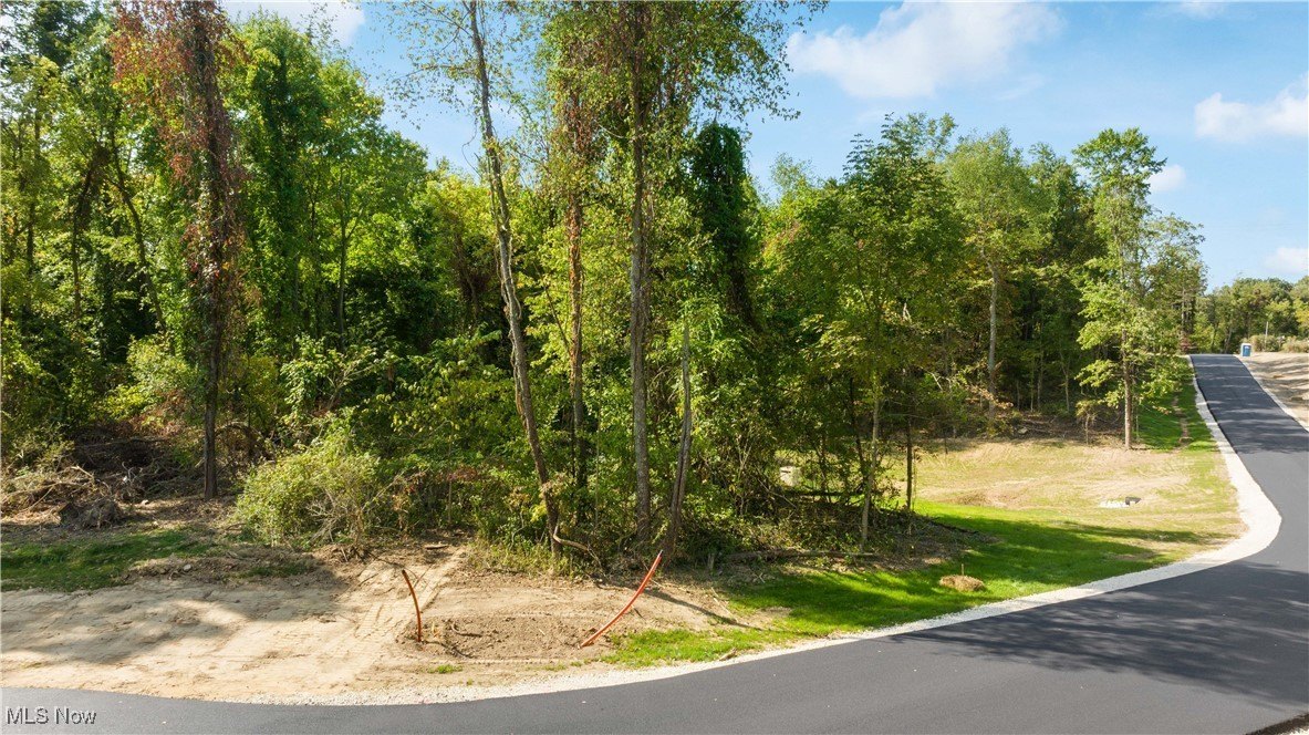 Land in The Heights at Pinecrest