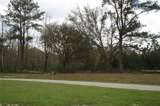 Picture 3