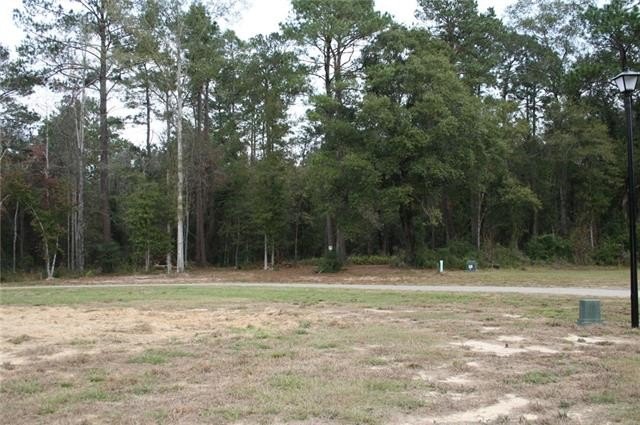 Picture 30