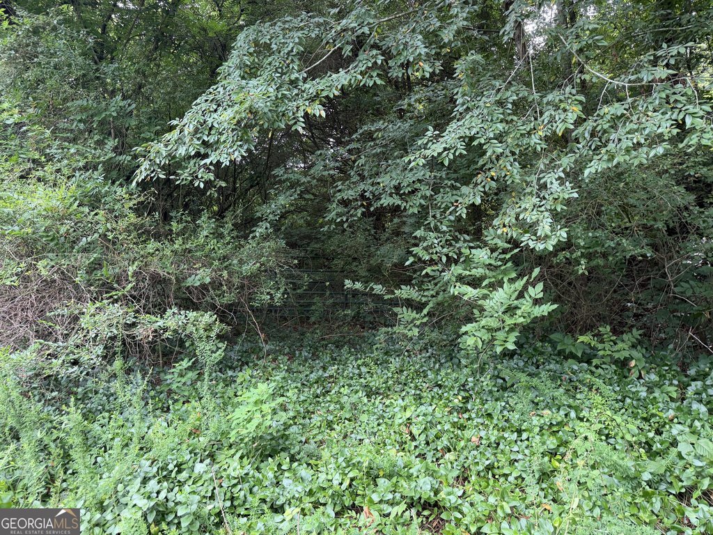Picture 13