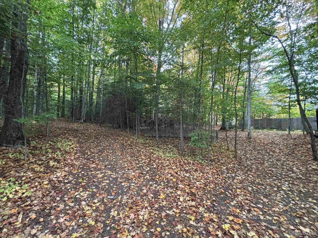Picture 47