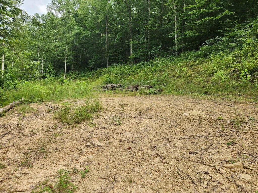 Picture 16