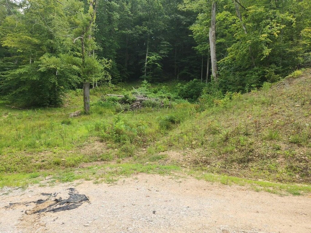 Picture 12