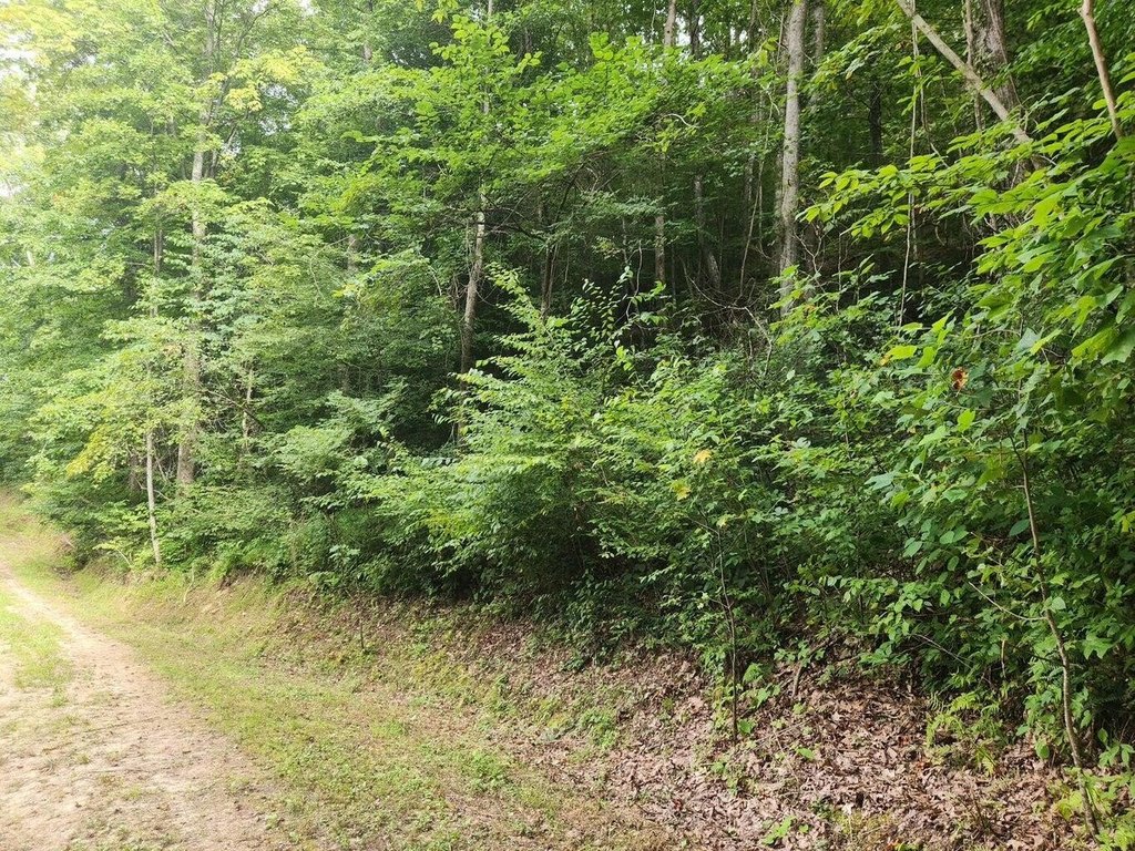 Picture 20