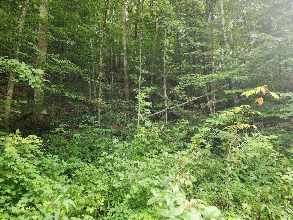Picture 18
