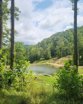 28.56 Acres Land in Stanton