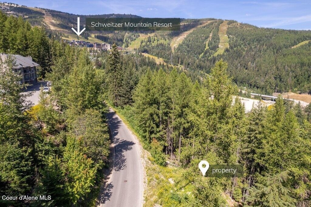 Picture 25