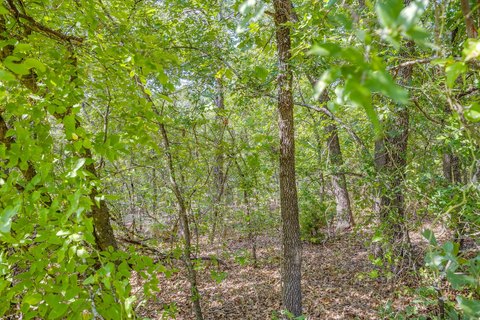 LAND - Burleson, TX