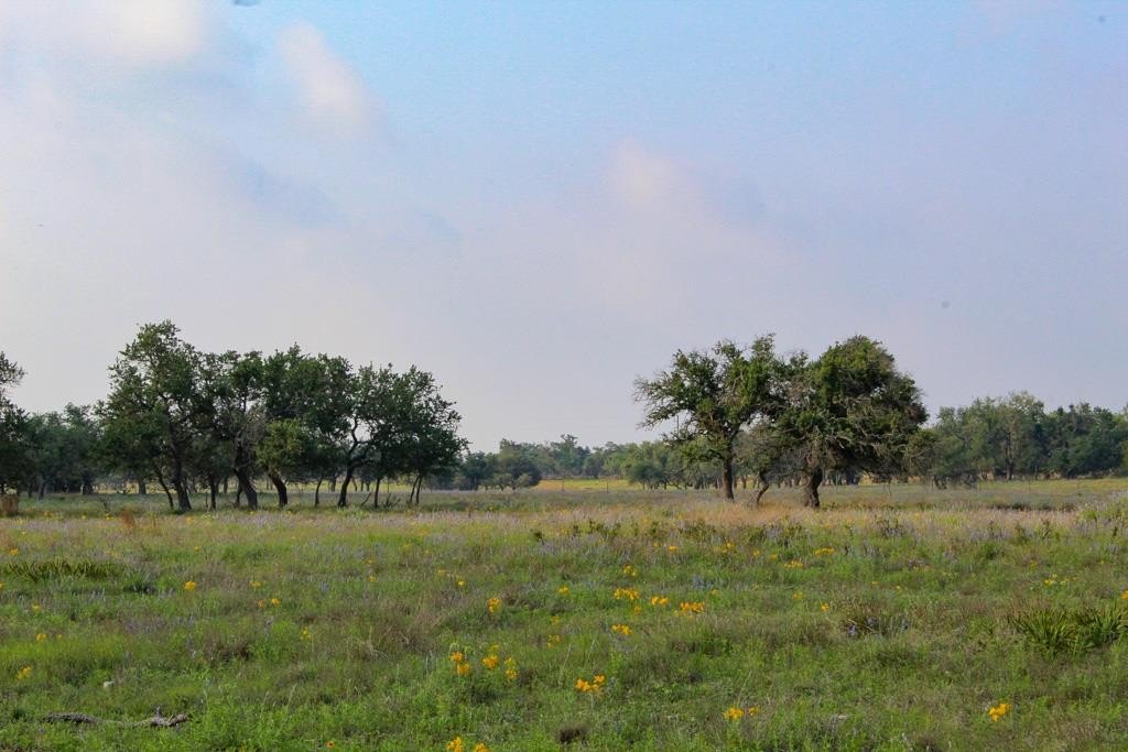 Harper, TX Land For Sale