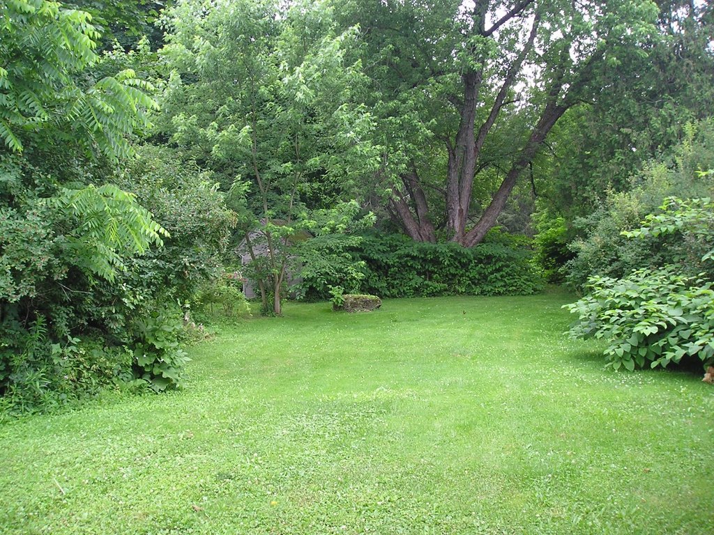 Picture 23