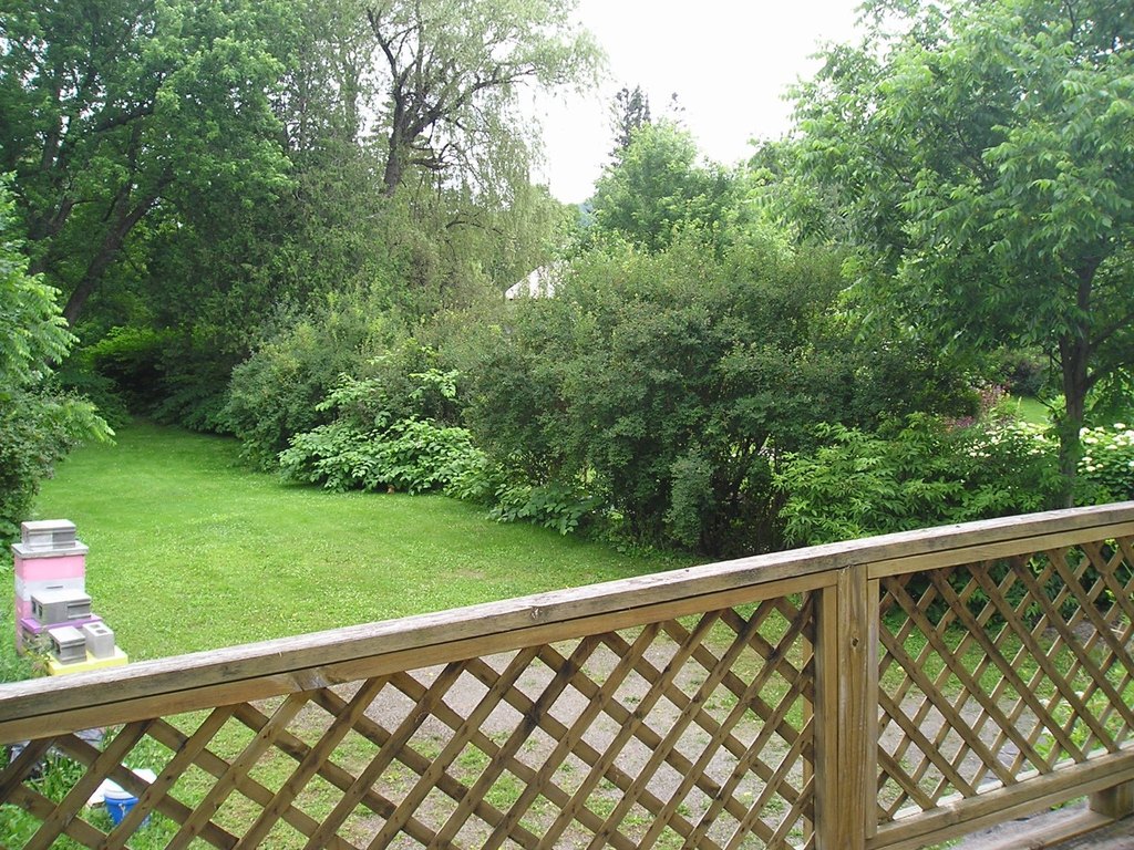 Picture 6