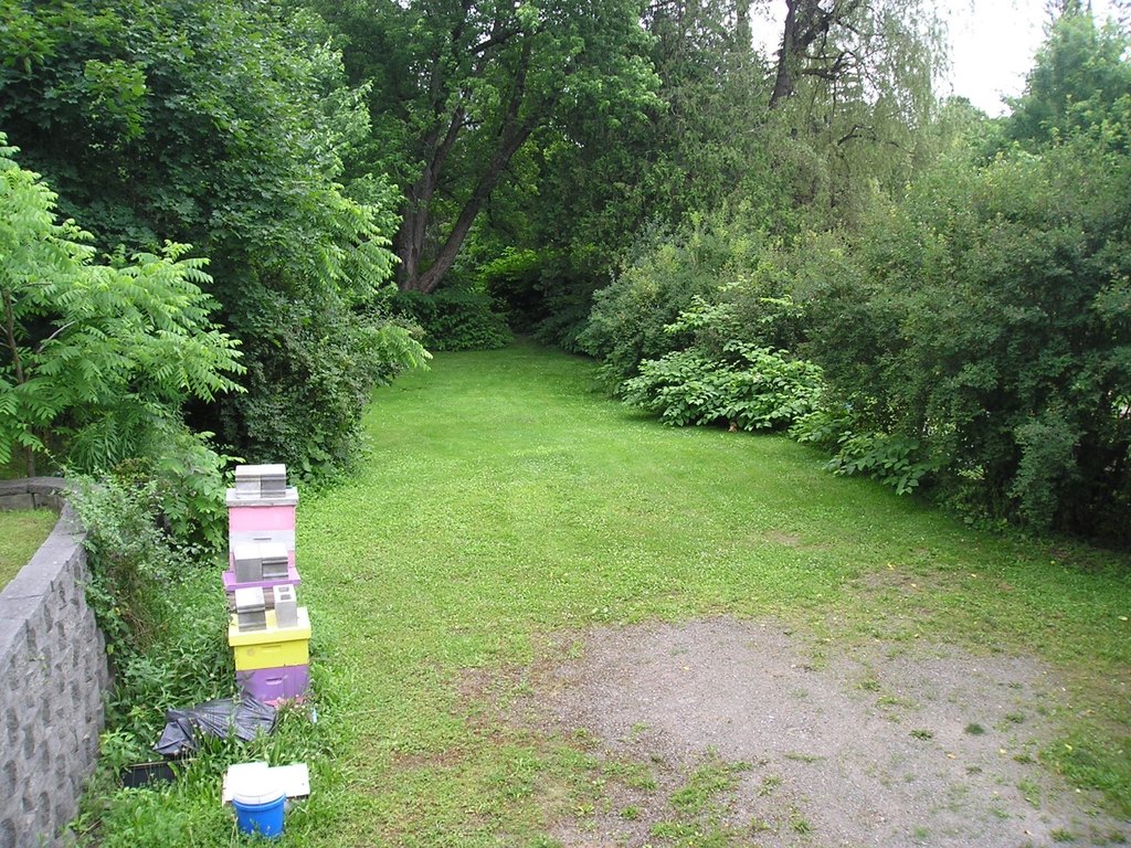 Picture 22