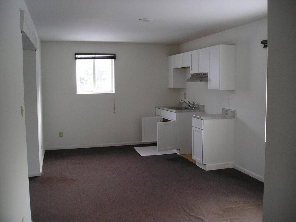 Picture 12