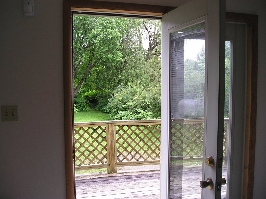 Picture 5