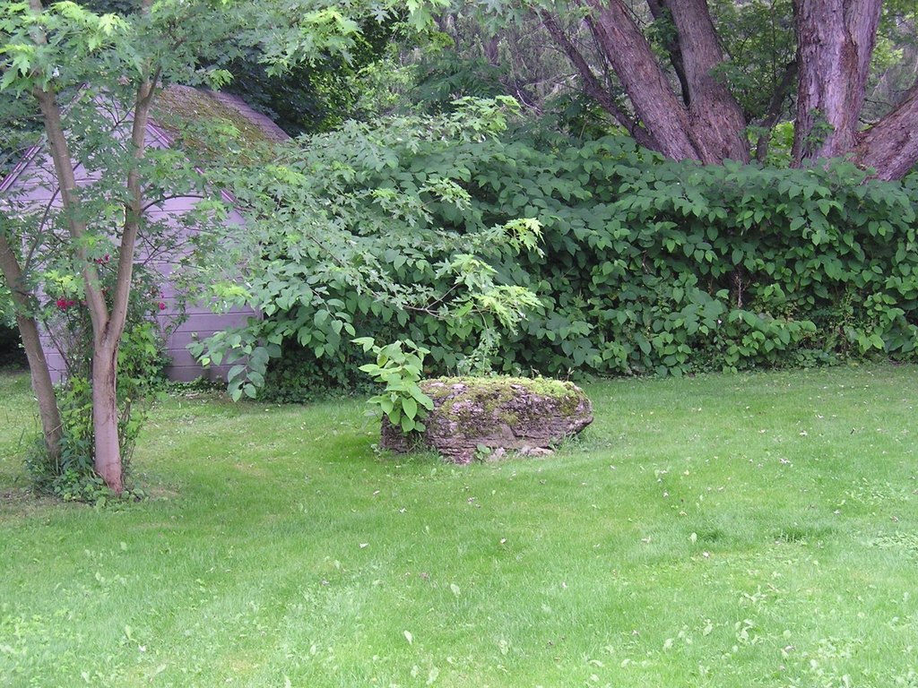 Picture 20