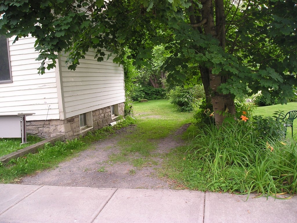 Picture 21