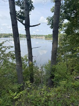 Land, Morley, MI