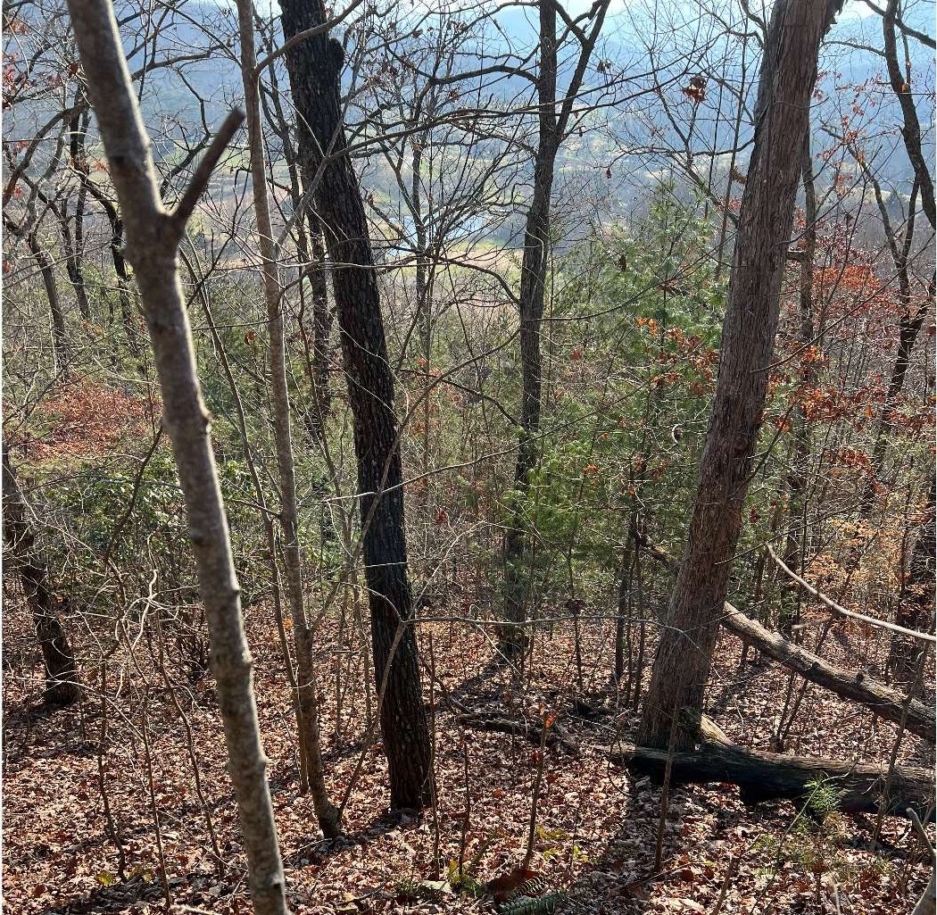 Mountain Harbour Vacant Lot