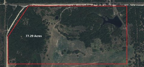 77 Acres Hunting and Agricultural Land