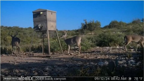 Hunting Ranch With Cabins