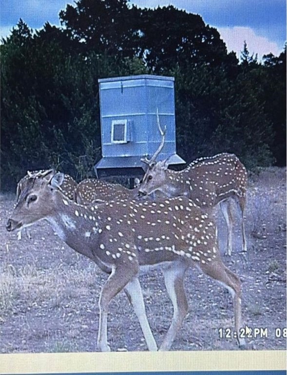 Picture 39