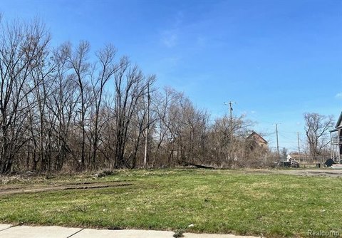 Detroit Land Development Opportunity