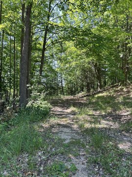 LAND - Big Rapids, MI