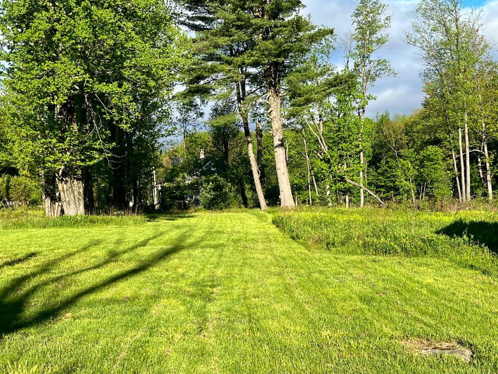Picture 10