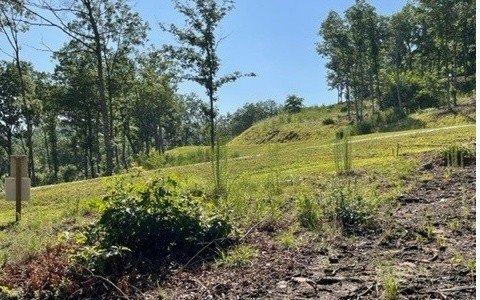 Lake Access Mountain View Lot
