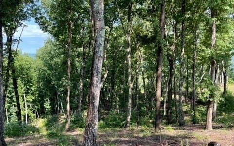 Picture 15