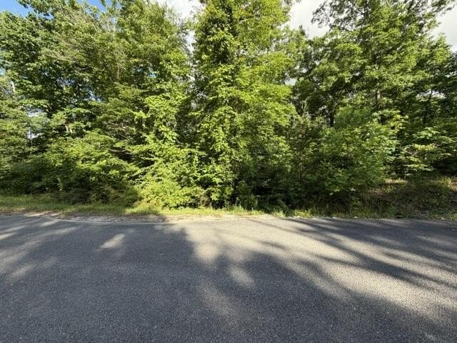 Picture 16