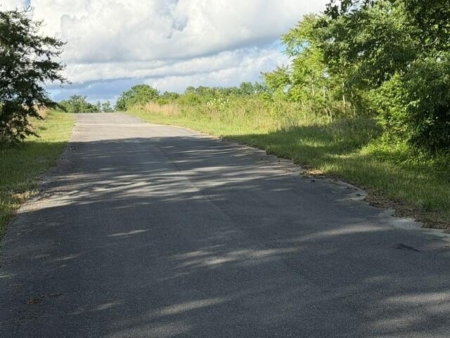 Picture 18