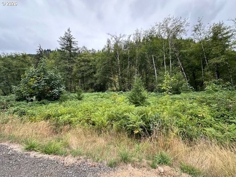 LAND - Ariel, WA