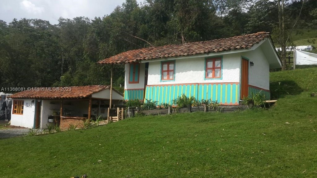 Picture 21