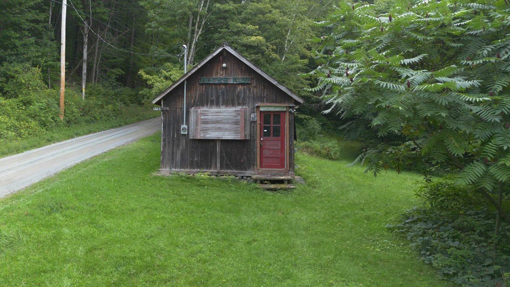 Picture 2