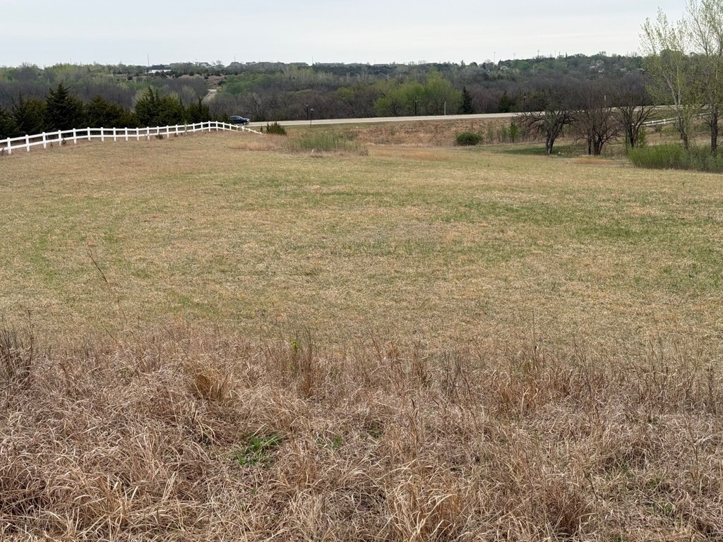 Picture 26