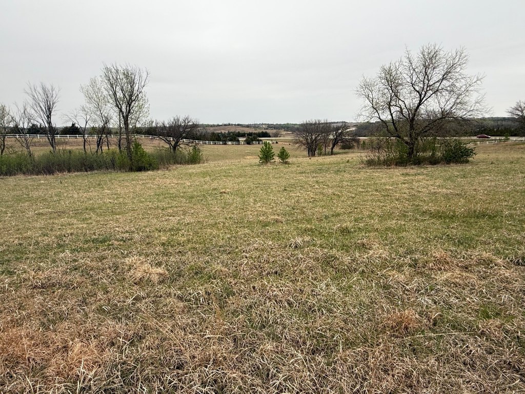 Picture 29
