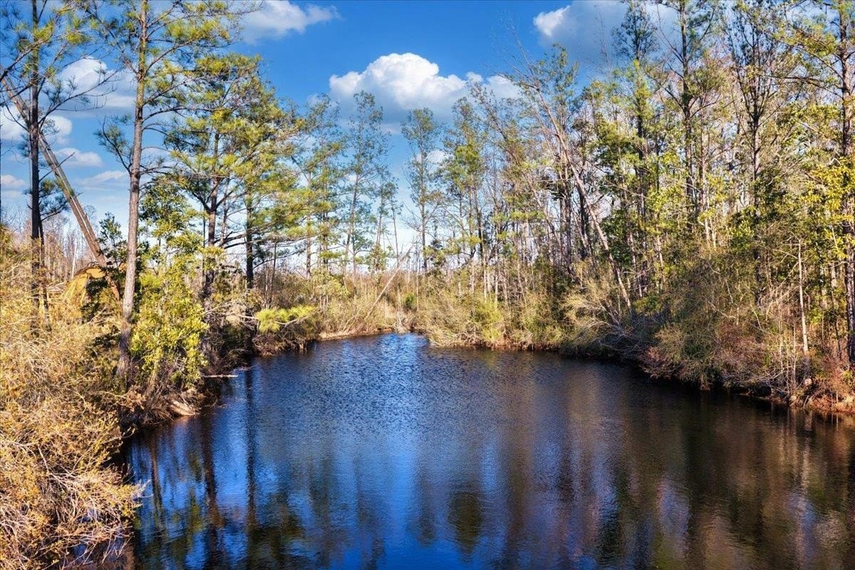 Madison County Recreational and Residential Land