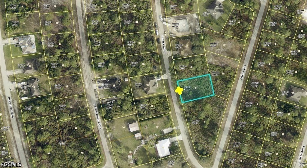 Picture 2