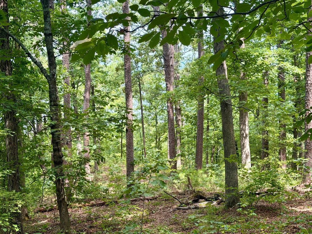Picture 7