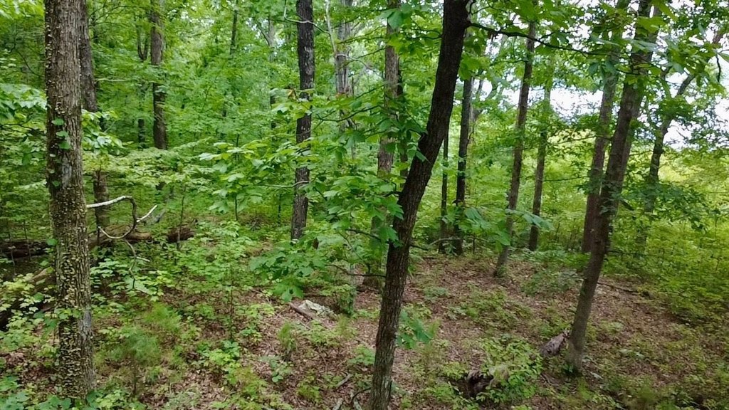 Picture 9
